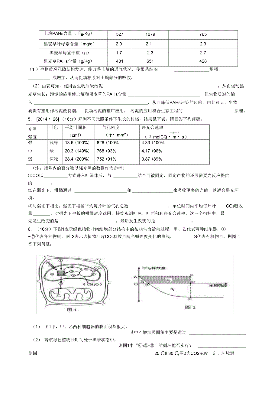 光合作用题型练习_第4页