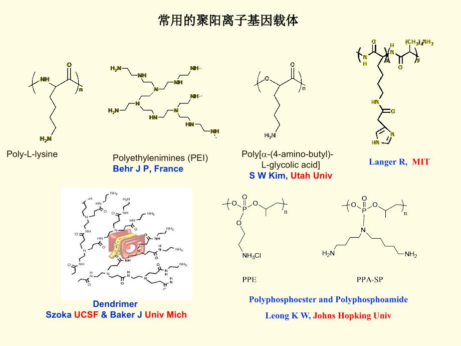 用于基因和抗癌药物控制释放高分子材料研究课件_第4页