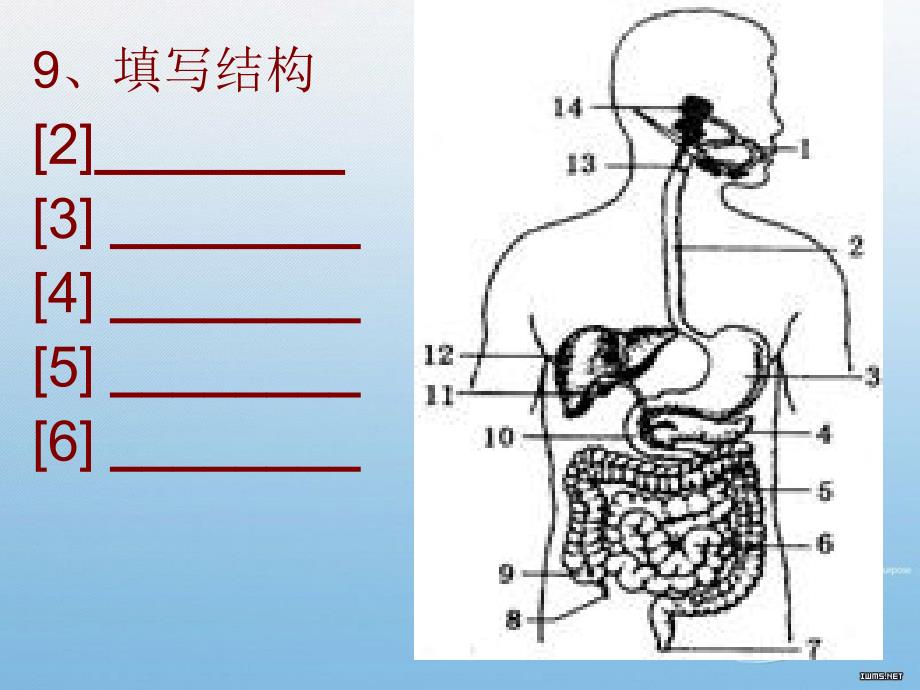 4月9日日早自习小考_第4页