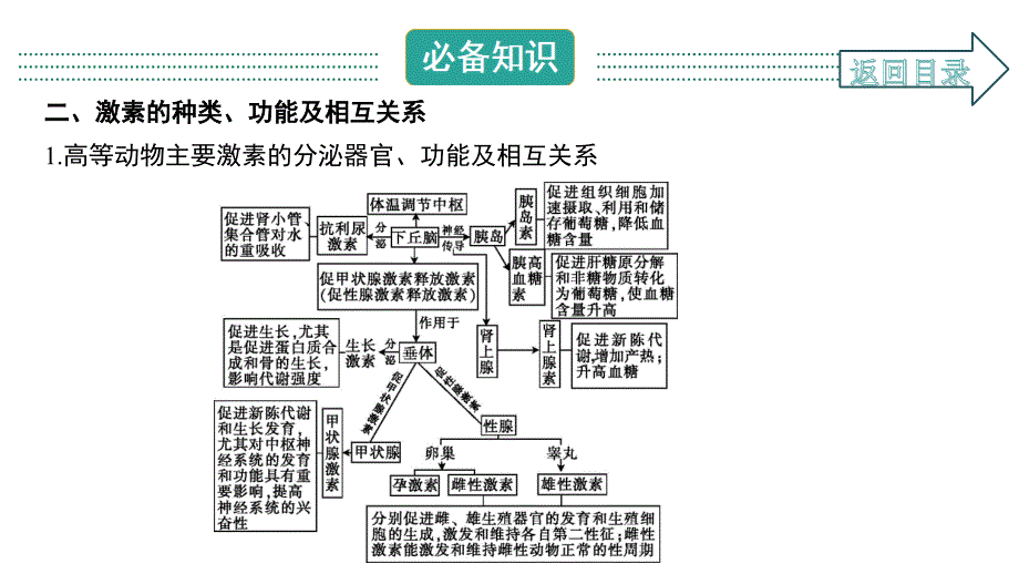 2021届-一轮复习-人教版-人和高等动物的体液调节--ppt课件_第3页