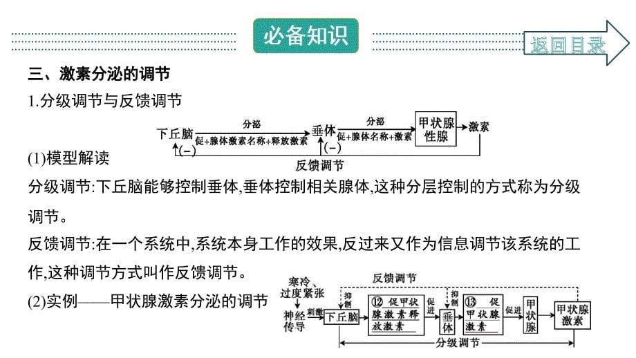 2021届-一轮复习-人教版-人和高等动物的体液调节--ppt课件_第5页