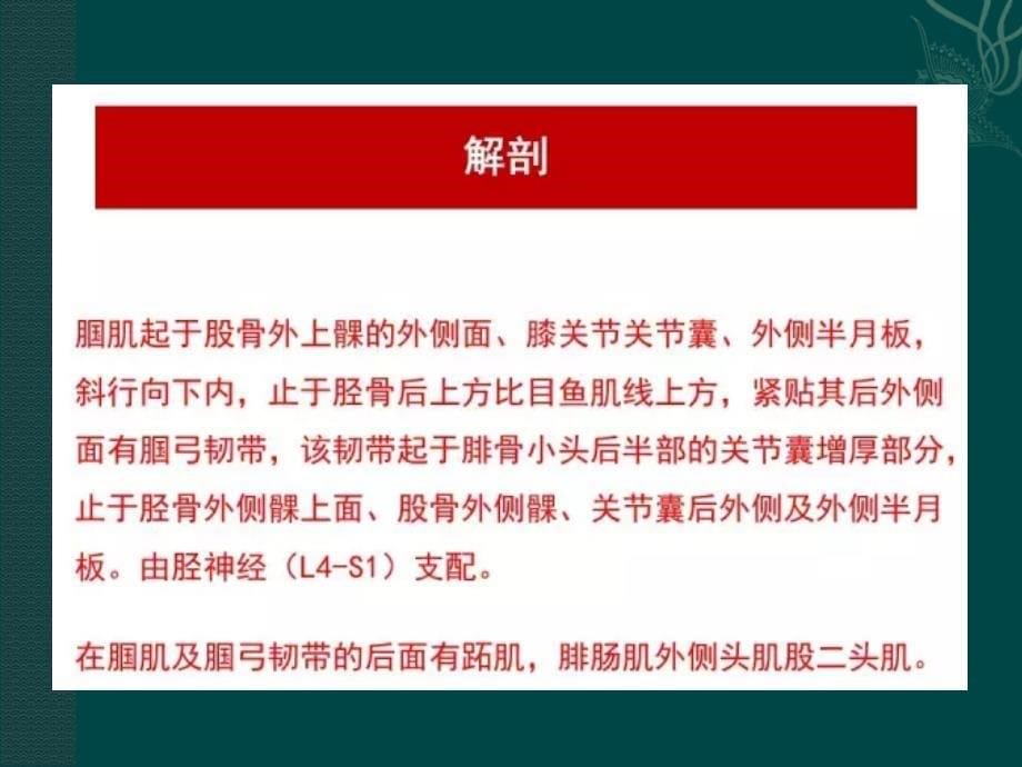 最新腘肌损伤PPT文档_第5页