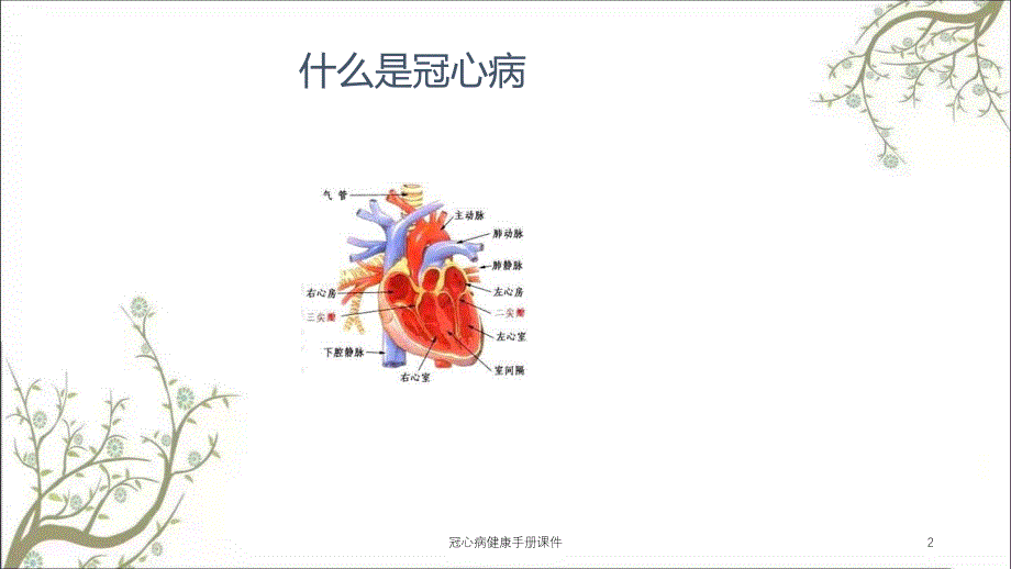 冠心病健康手册课件_第2页