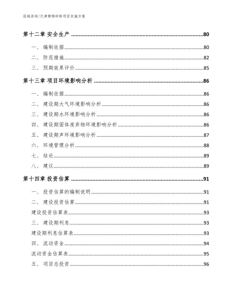 天津精铸砂粉项目实施方案（参考范文）_第5页