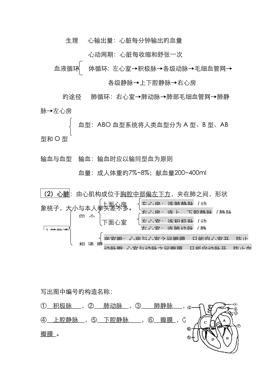 人体内物质的运输知识点练习题复习.doc_第2页