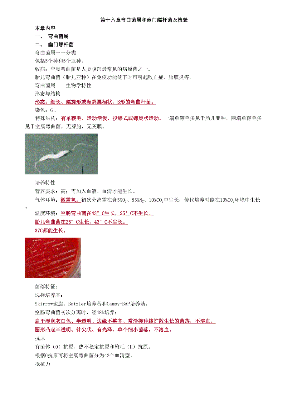 临床检验技师_第1页