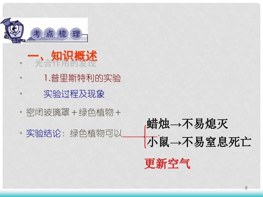 高考生物第一轮总复习 第6讲光合作用（必修、选修）课件（广西专版）_第5页