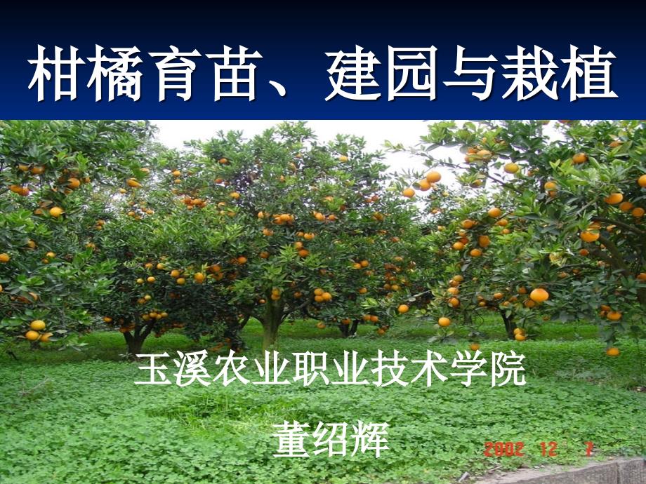 d果树育苗建园栽植技术_第1页