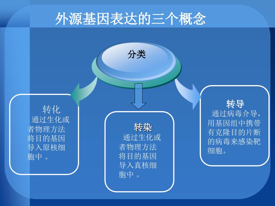 真核转染稳定筛选标记及原理.ppt_第2页