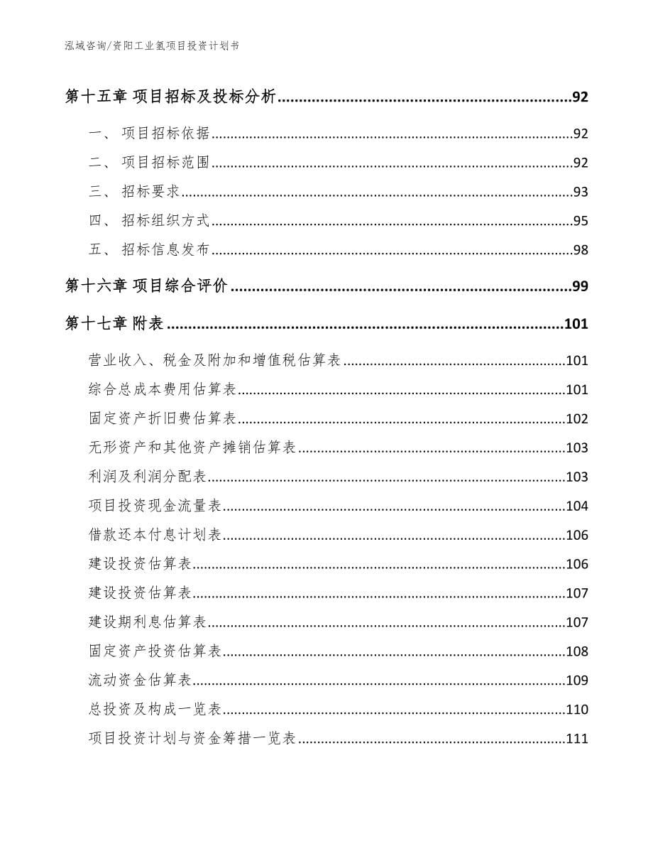 资阳工业氢项目投资计划书参考模板_第5页