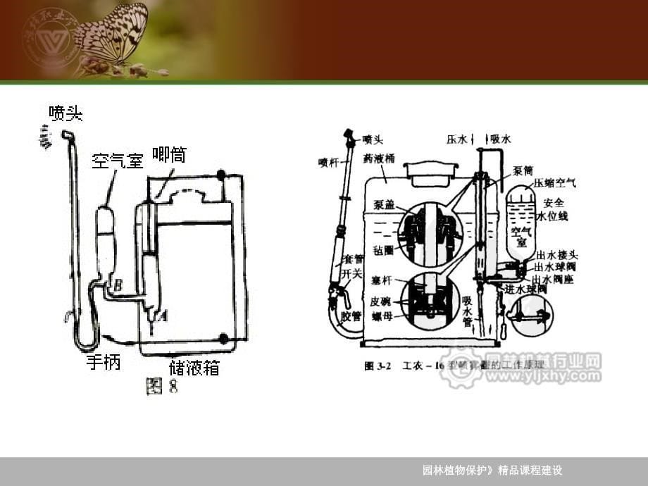 农作物植保.11.05PPT优秀课件_第5页