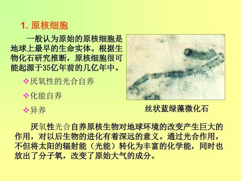 医学课件真核细胞起源_第2页