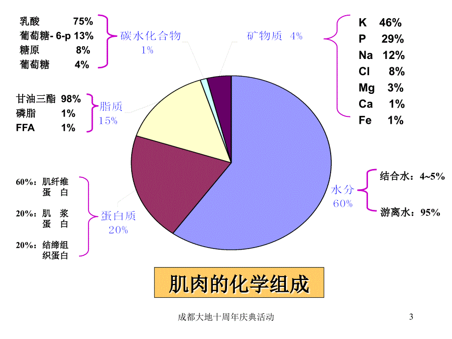 专题四猪肉品质及其影响因素_第3页