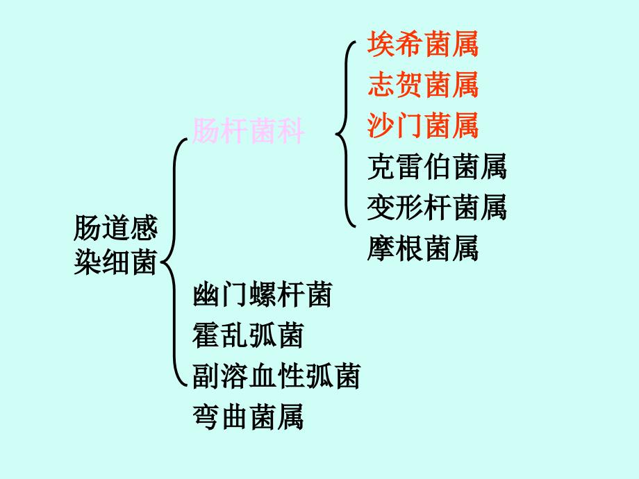 最新第十五章肠道感染细菌-PPT文档_第2页