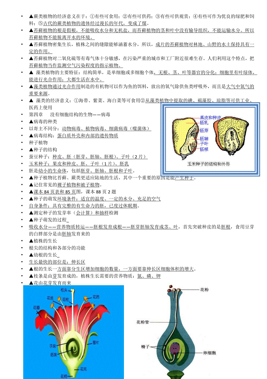 人教版七年级初一生物上册知识点总结_第4页