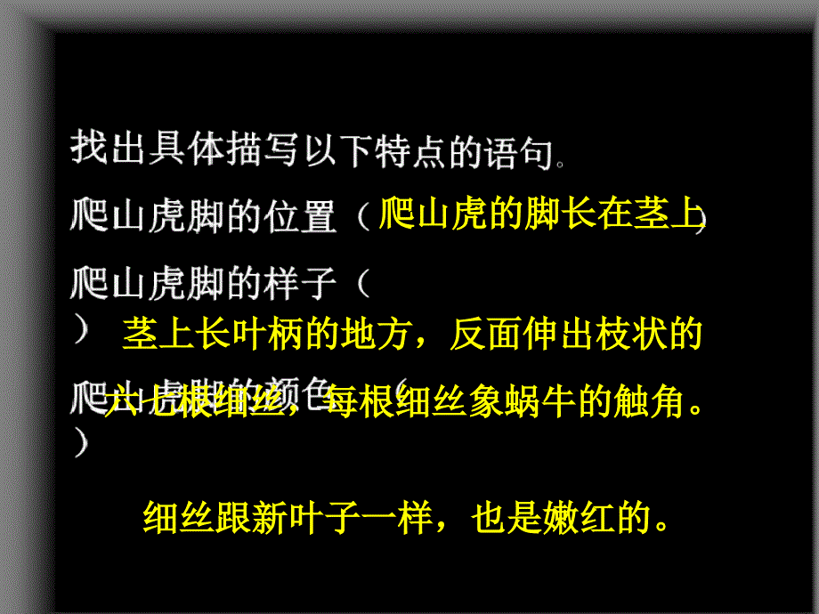 爬山虎的脚ppt课件6_第3页