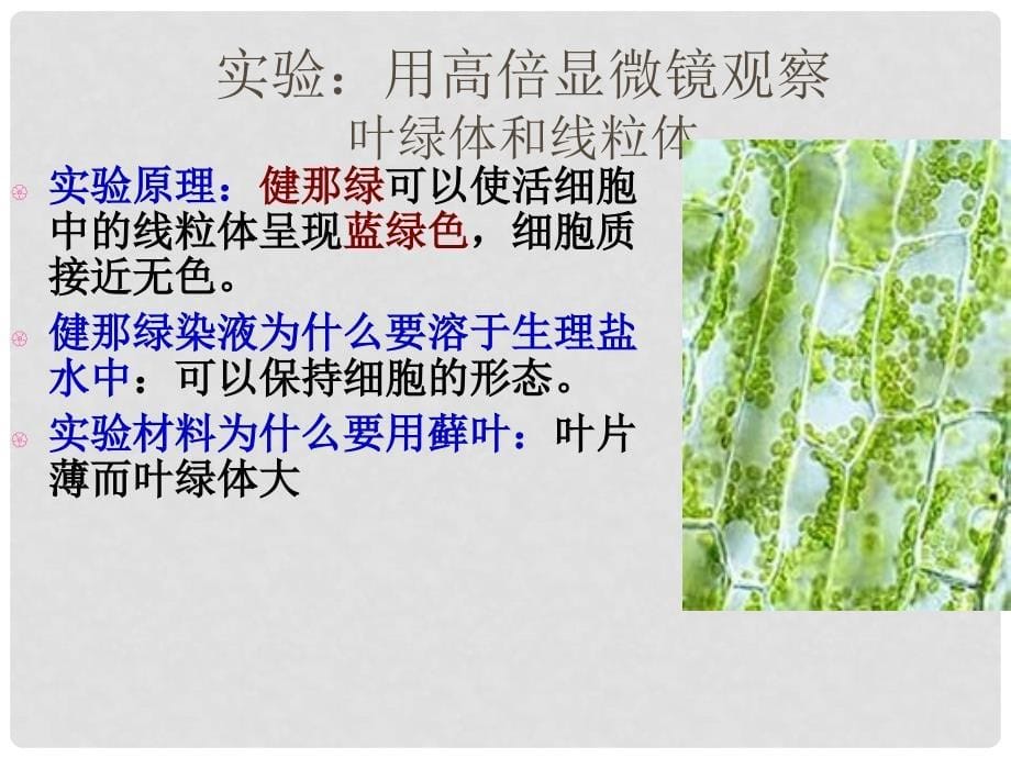 江苏省如东县高中生物 3.2 细胞器——系统内的分工合作（第2课时）细胞质基质课件 新人教版必修1_第5页