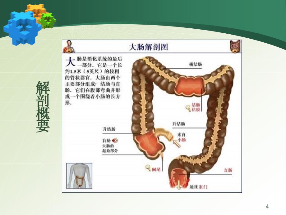 大肠疾病的护理PPT课件.ppt_第4页