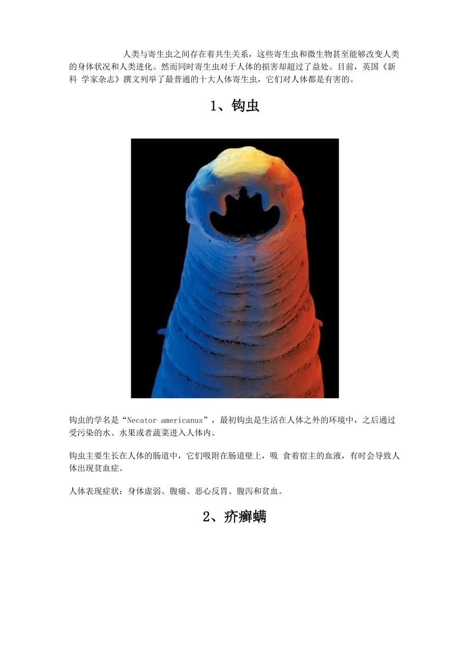 人类与寄生虫_第1页