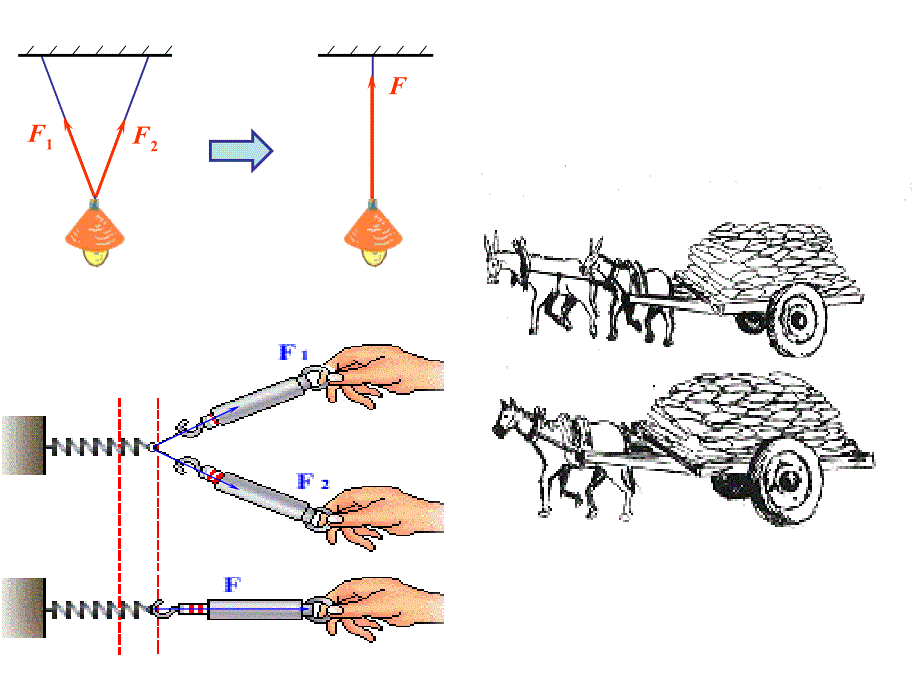 第四节_力的合成_第3页