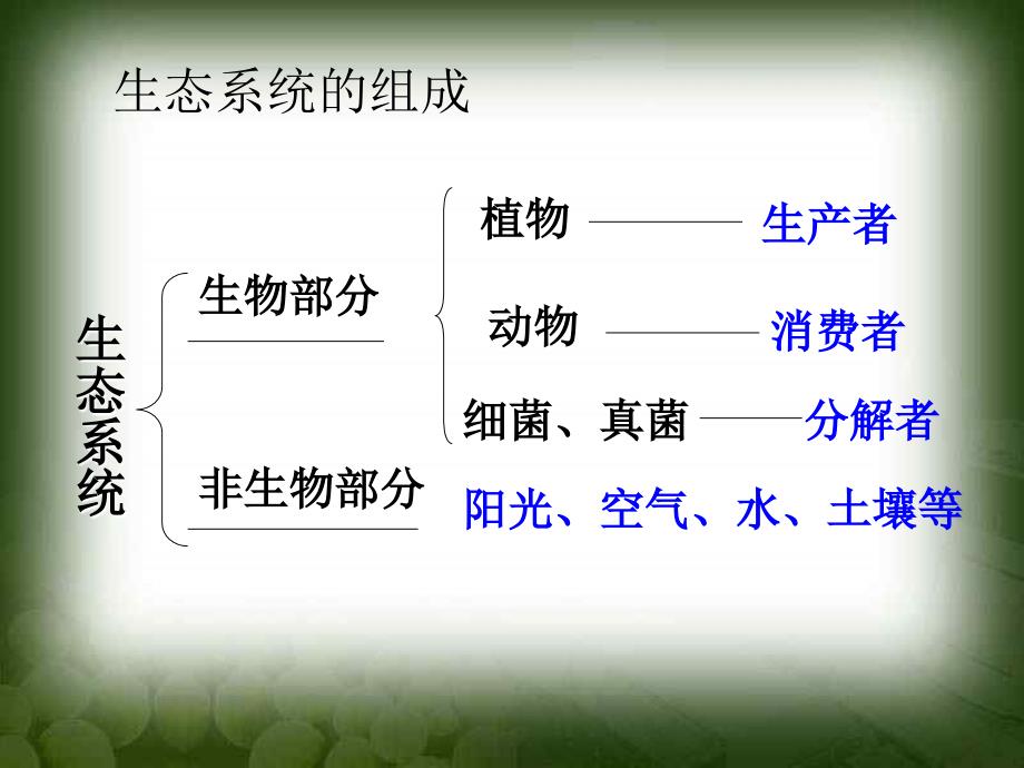 细菌和真菌在自然界的作用.ppt_第4页