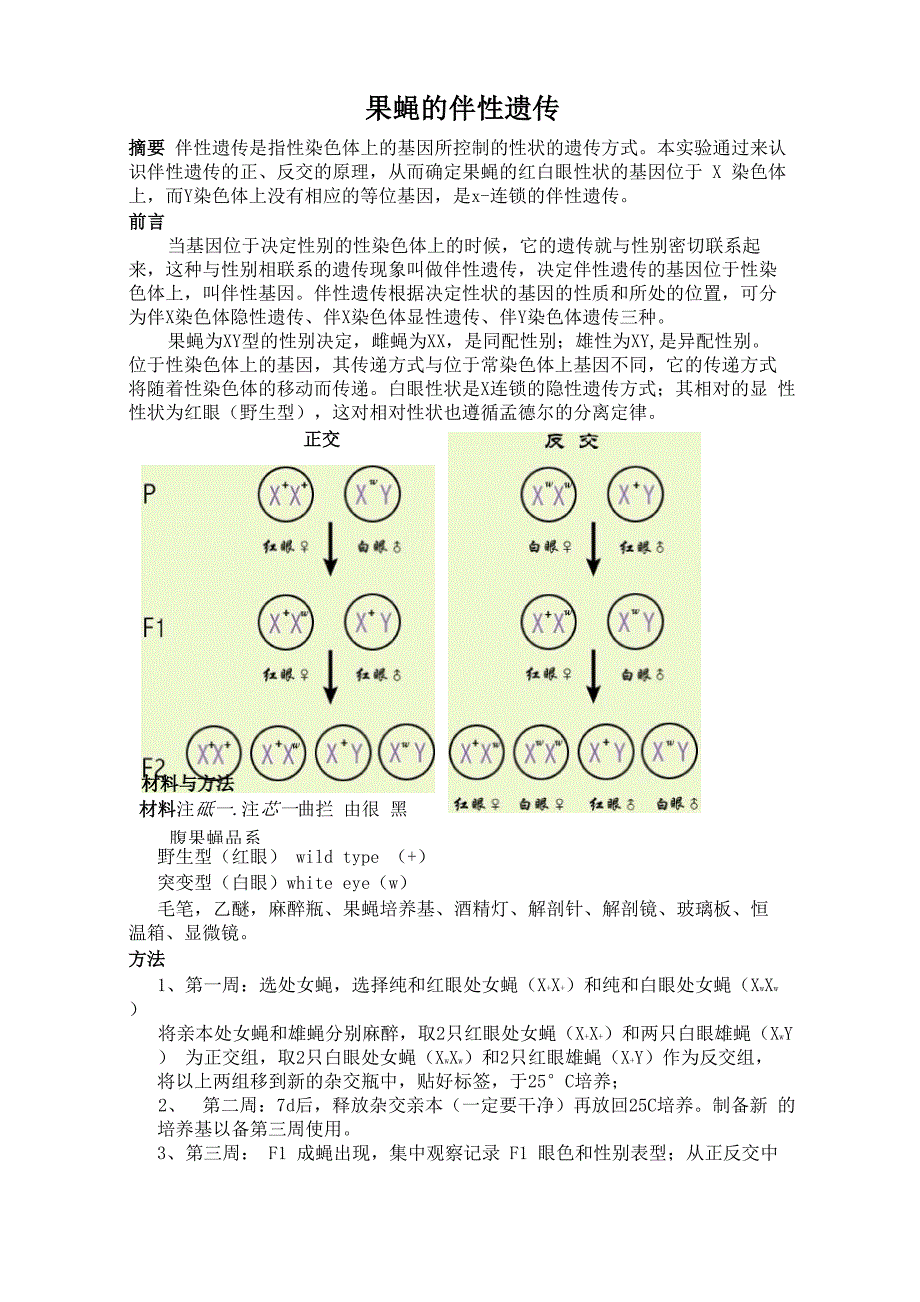 果蝇的伴性遗传_第1页