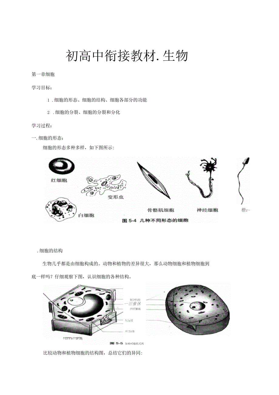 初高中生物衔接教材_第1页