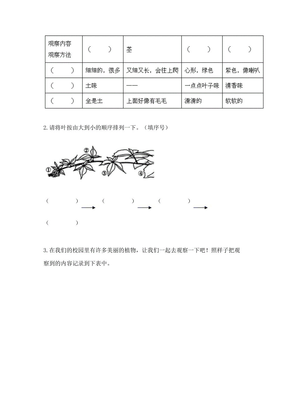 教科版科学一年级上册第一单元《植物》测试卷精品【黄金题型】.docx_第4页