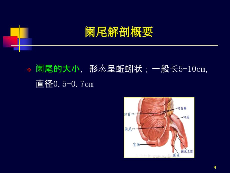 阑尾炎超声诊断ppt课件_第4页