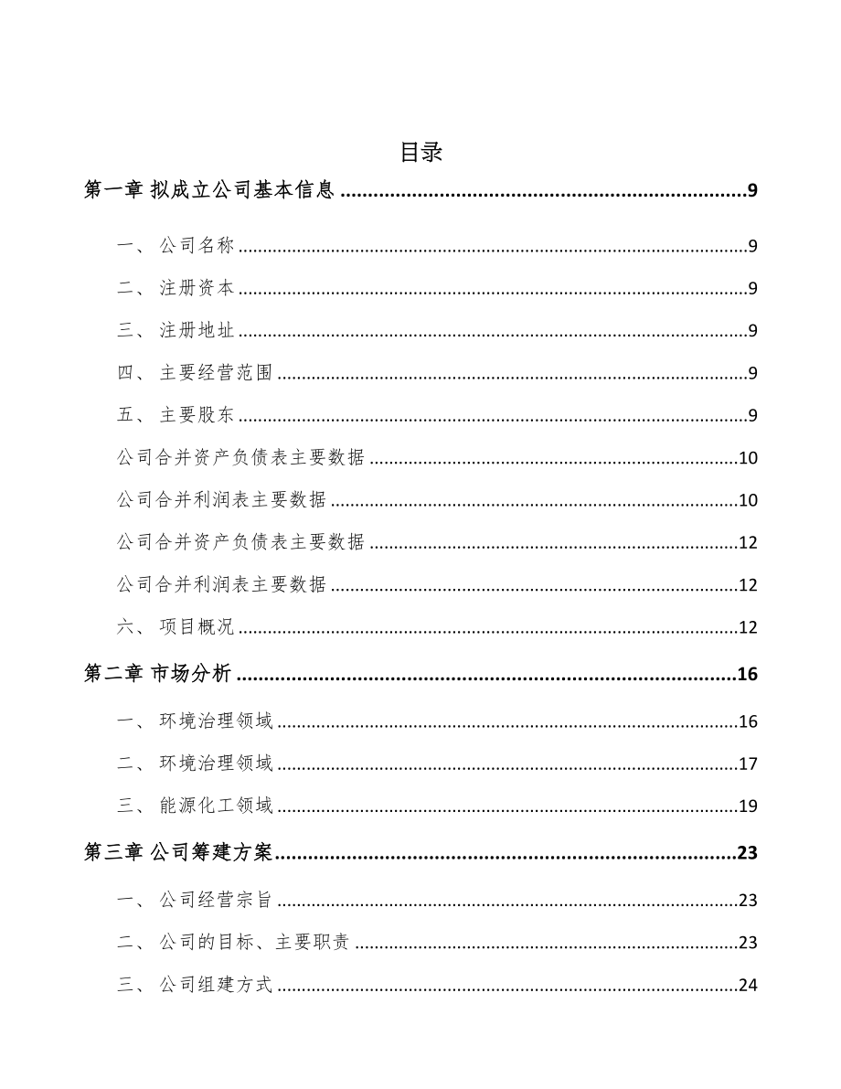 内蒙古关于成立分子筛公司可行性研究报告(DOC 94页)_第2页