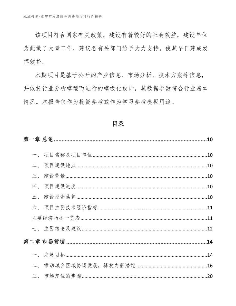 咸宁市发展服务消费项目可行性报告_第5页