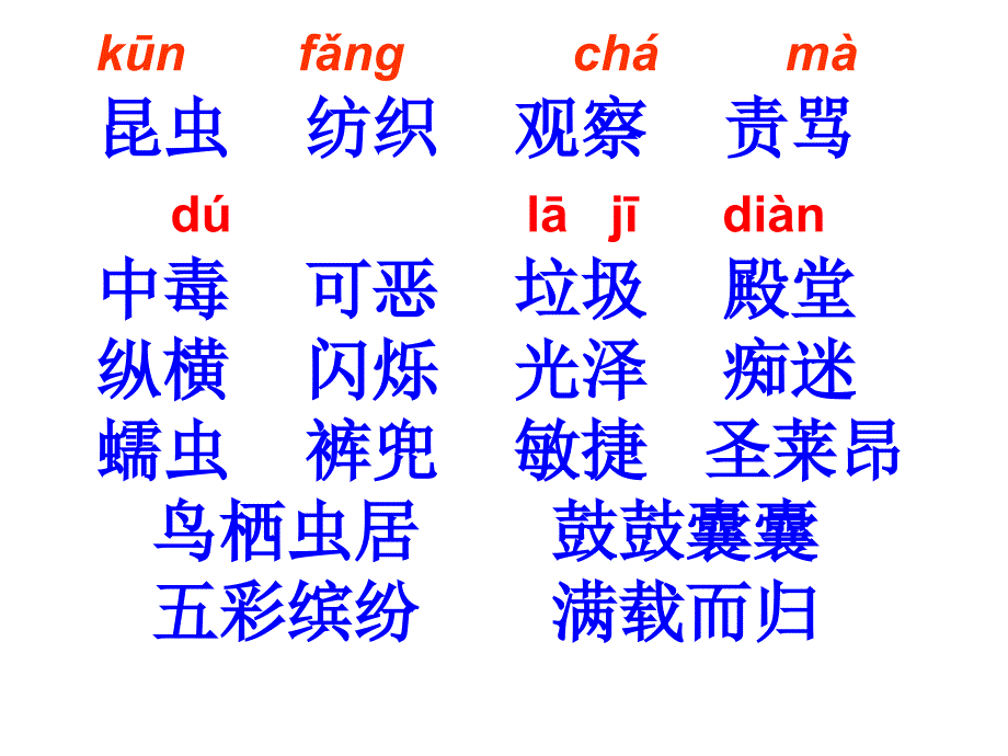 5装满昆虫的衣袋课件_第4页