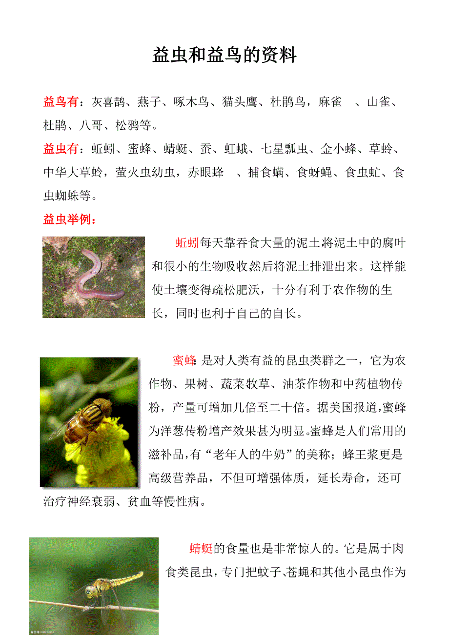 益虫和益鸟的资料和例子.doc_第1页