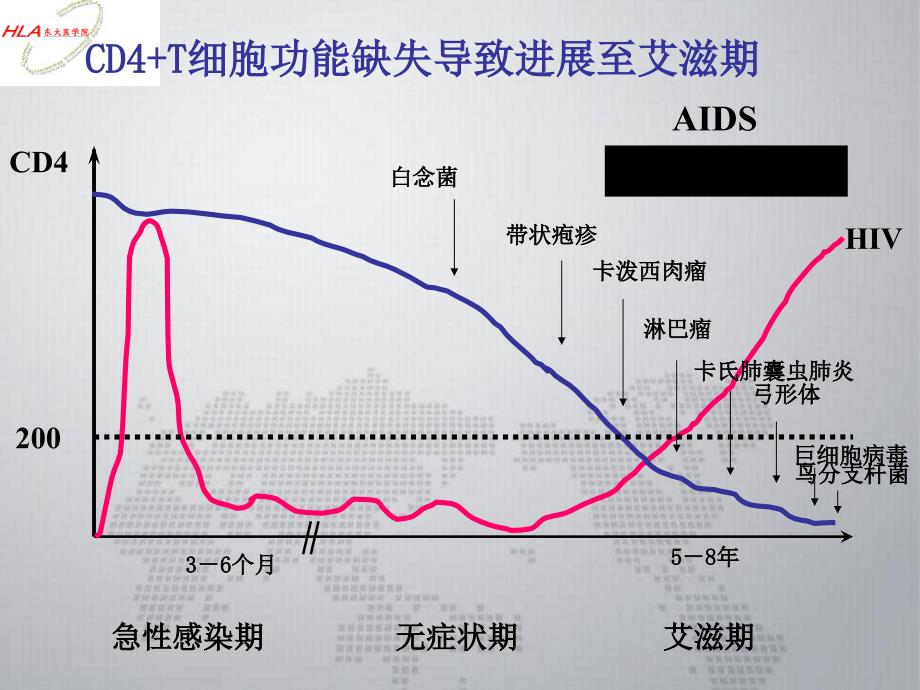 《从“阴性艾滋病与”谈神经免疫学》课件_第4页