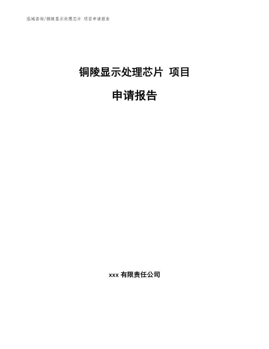 铜陵显示处理芯片 项目申请报告_第1页