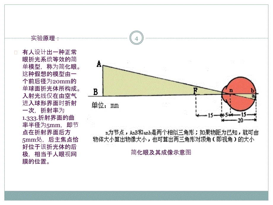 生理学实验盲点的测定ppt课件_第4页