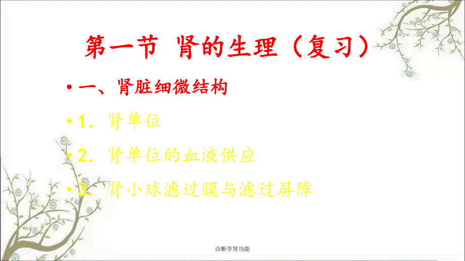 诊断学肾功能课件_第2页