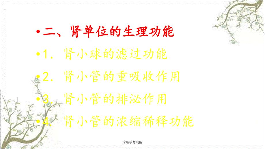 诊断学肾功能课件_第3页