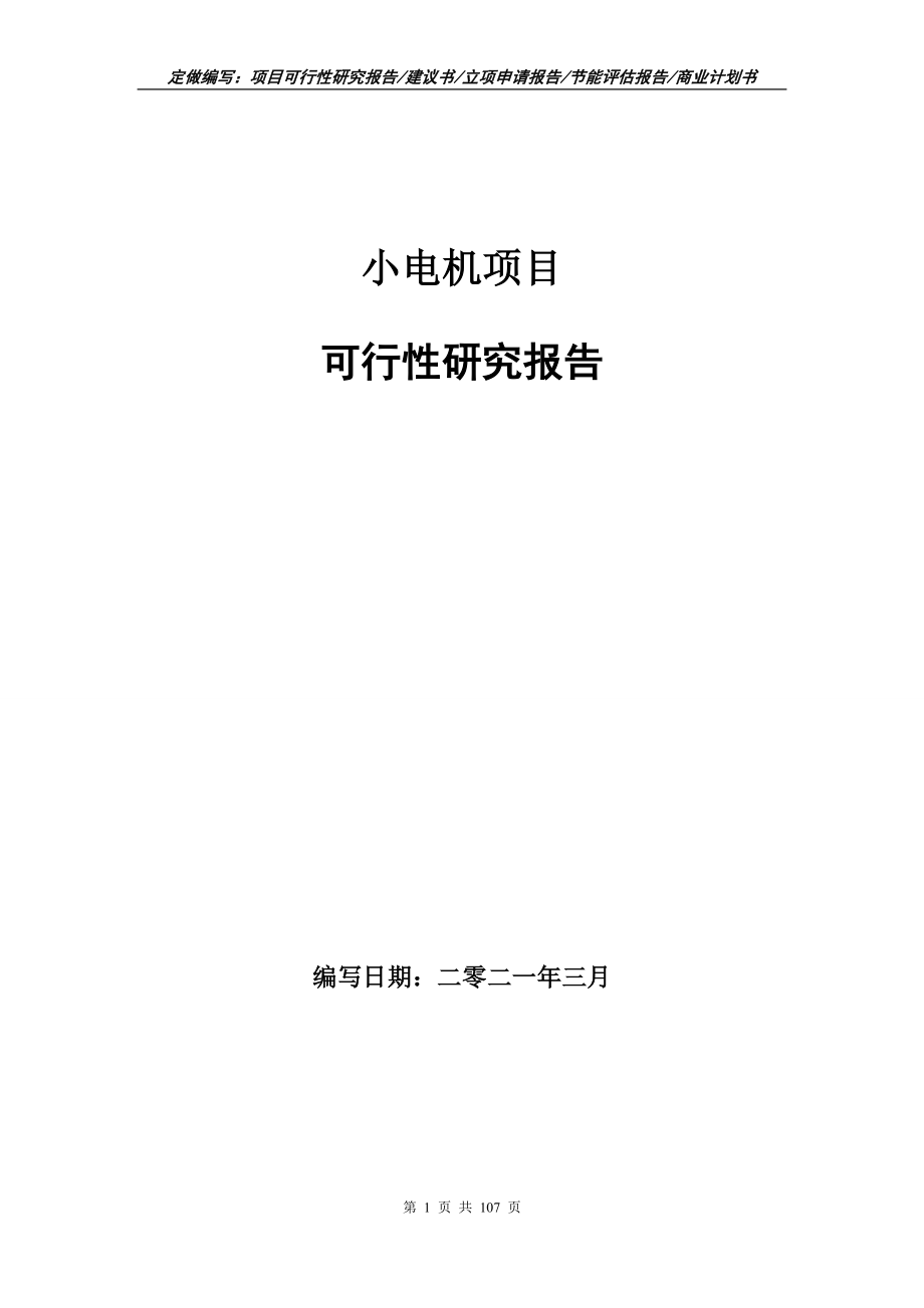 小电机项目可行性研究报告写作范本_第1页