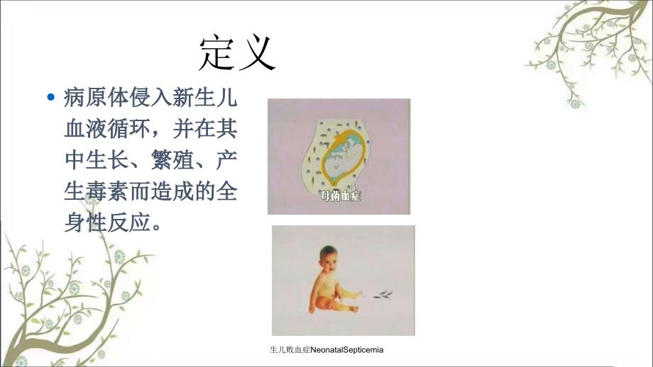 生儿败血症NeonatalSepticemia_第3页