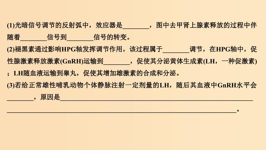 2019版高考生物大一轮复习 第九单元 生物个体的稳态与调节 补上一课5课件 中图版必修3.ppt_第4页