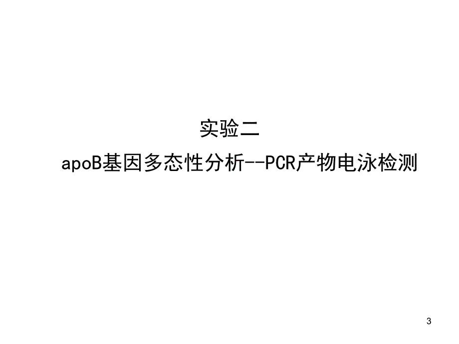 实验2研究生 pcr产物鉴定及pcr原理应用_第3页