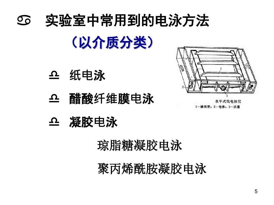 实验2研究生 pcr产物鉴定及pcr原理应用_第5页