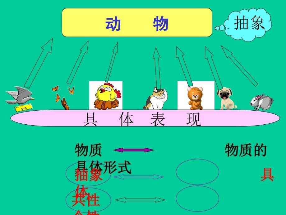 高中政治必修四 哲学4.1世界的物质性_第5页