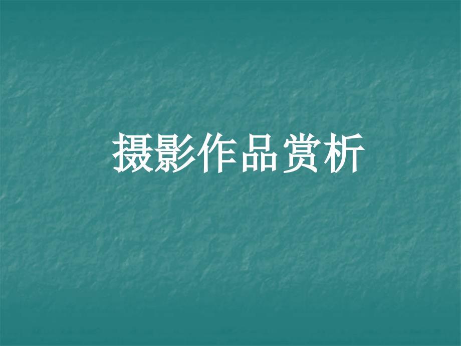 摄影作品赏析PPT课件