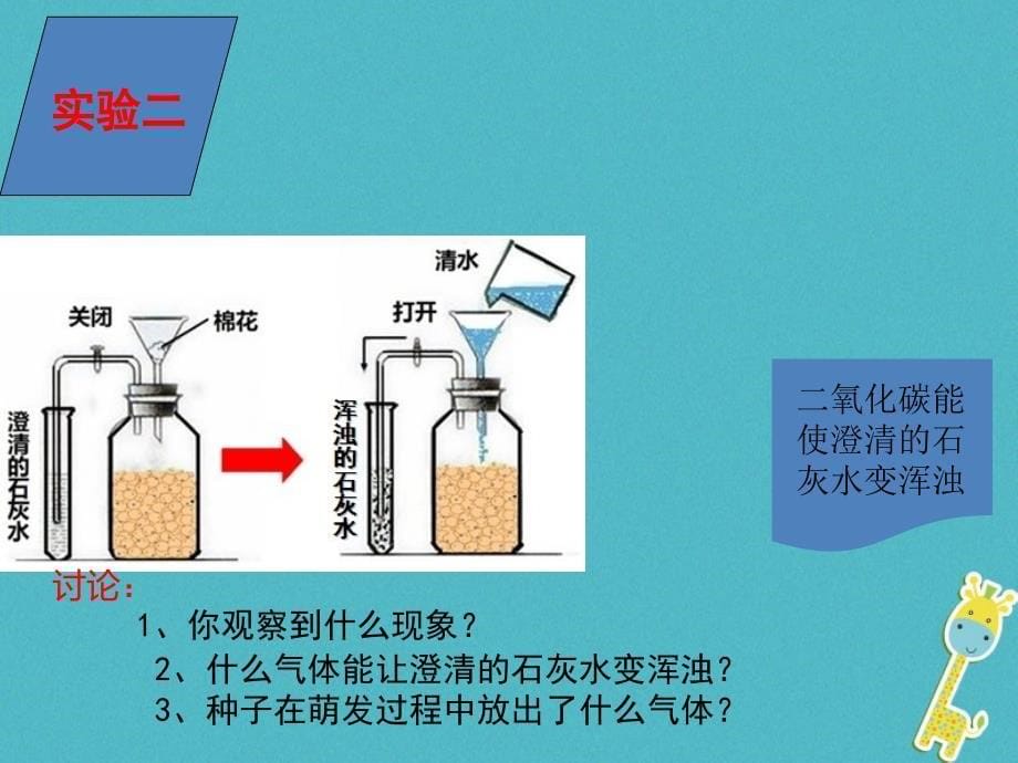 七年级生物上册 3.5.2绿色植物的呼吸作用课件 （新版）新人教版_第5页