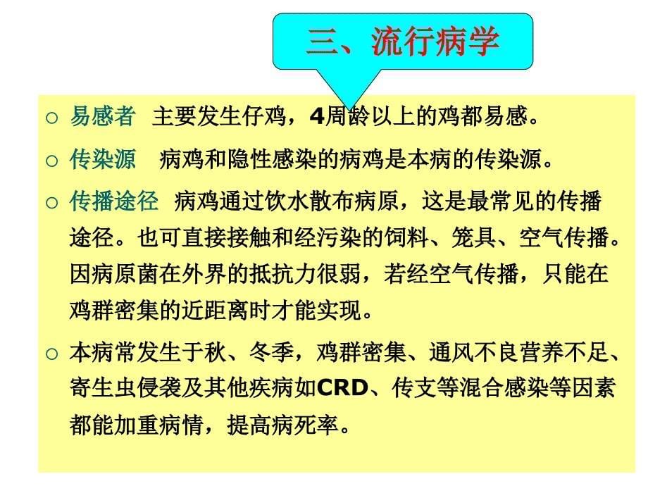 聊城大学农学院禽病学课件细菌病之传染性鼻炎_第5页