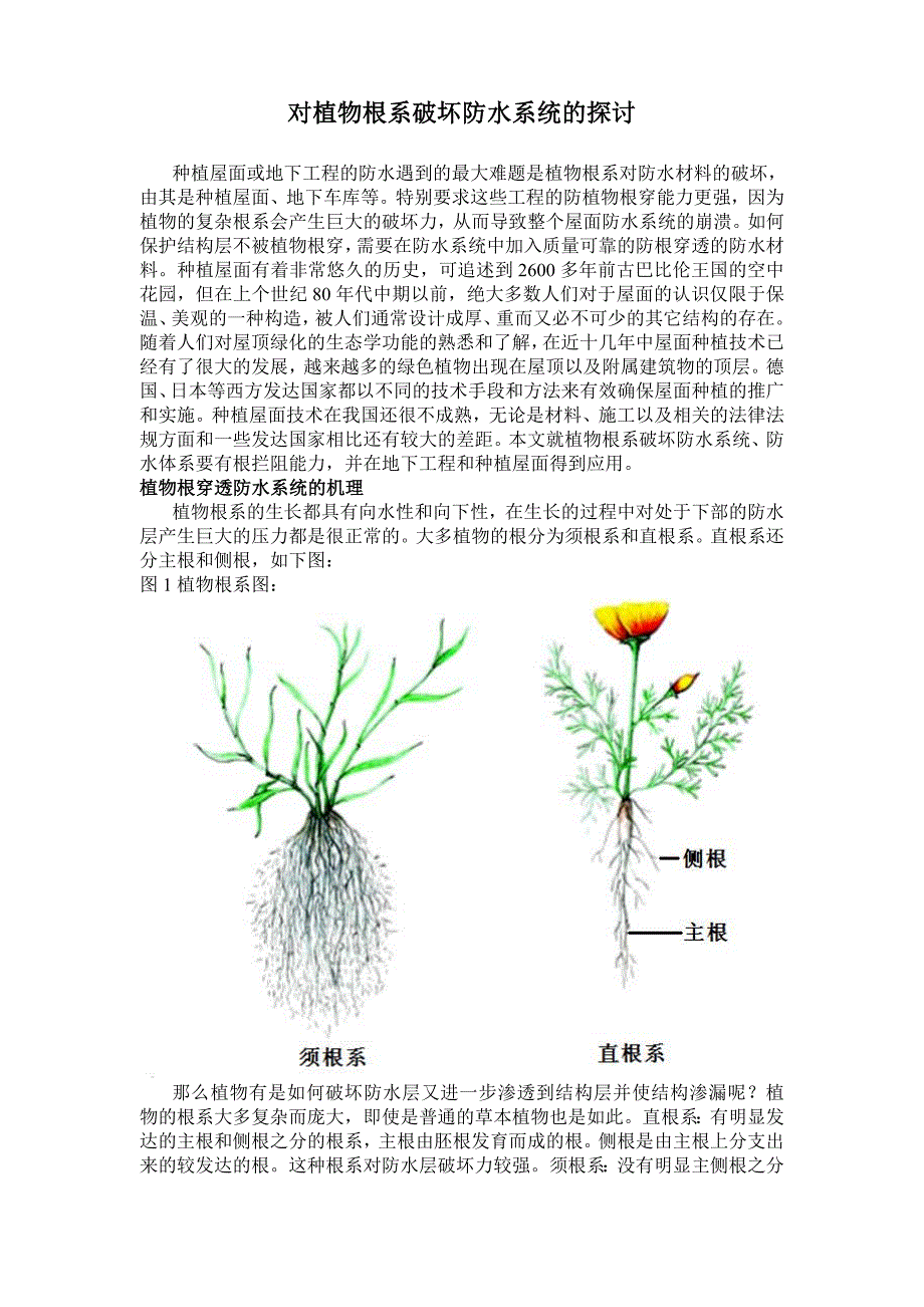 对植物根系破坏防水系统的探讨.doc_第1页