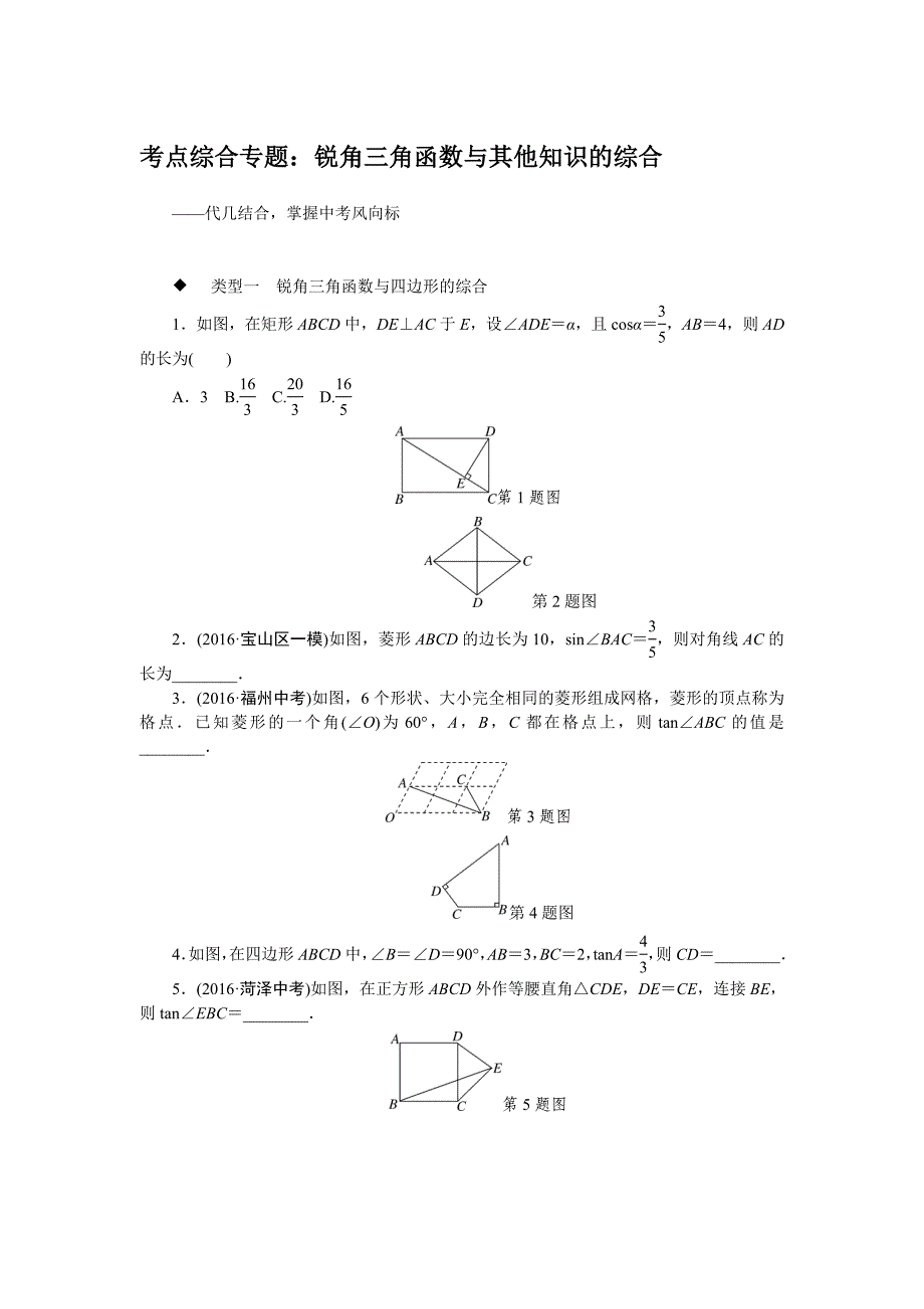 10考点综合专题：锐角三角函数与其他知识的综合.doc_第1页