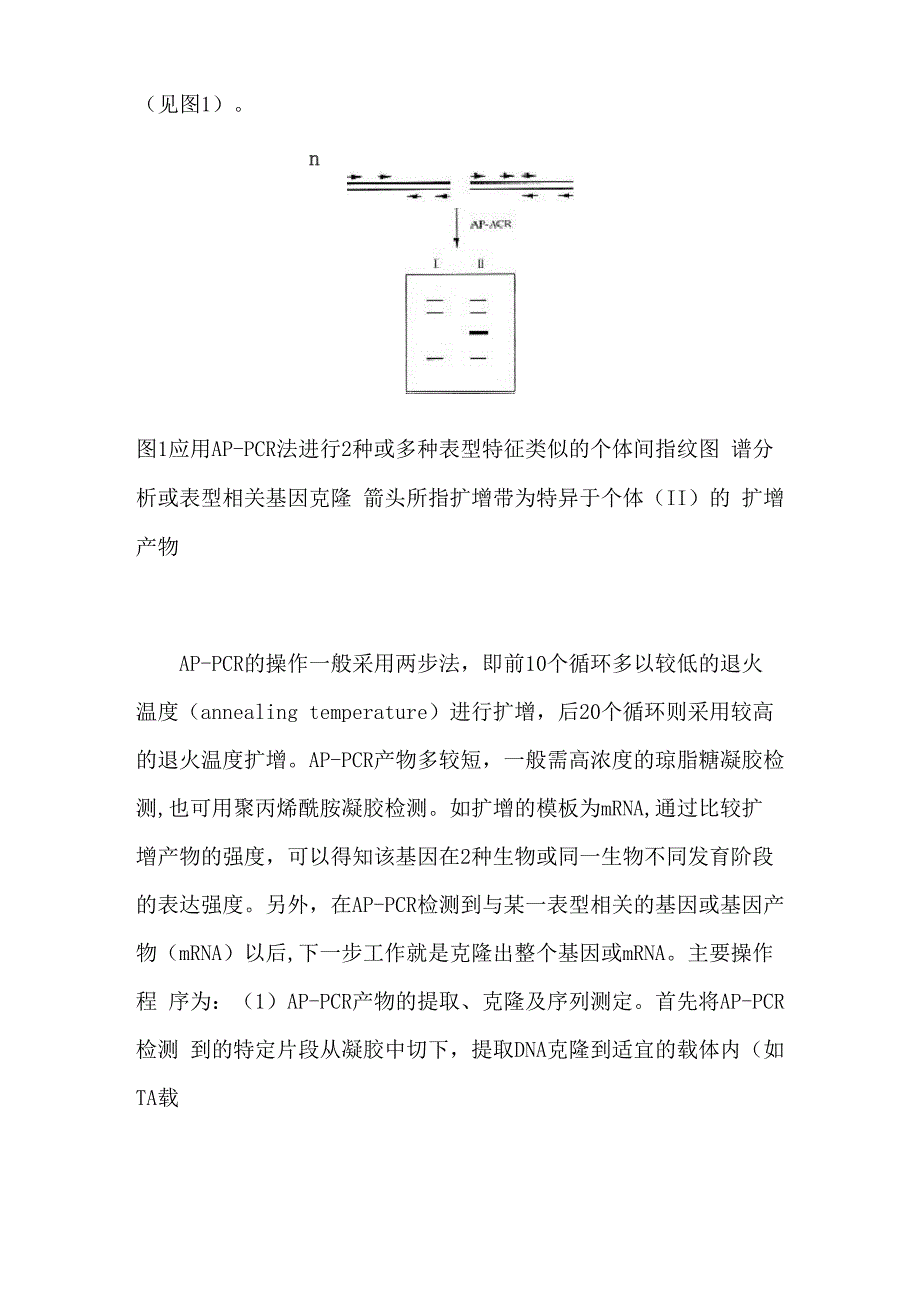 5基因克隆的几种常用方法_第4页